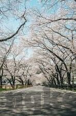 2021国产麻豆剧传媒免费-洞见2021，国产麻豆剧传媒免费新生态下的文化消费趋势