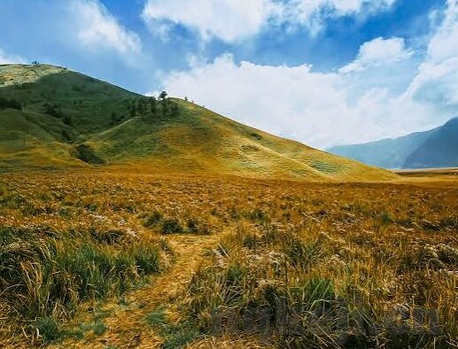 糖心app下载汅api-欢迎体验糖心APP——解锁社交新体验的精彩旅程