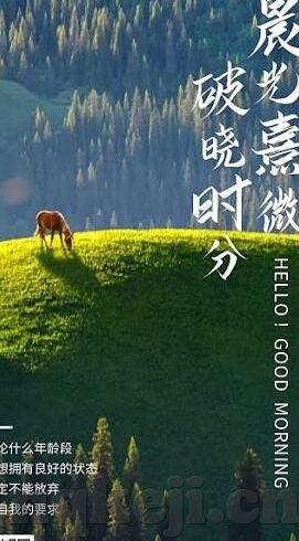 糖心vlog在线网站-糖心Vlog，一场视觉与灵感的盛宴